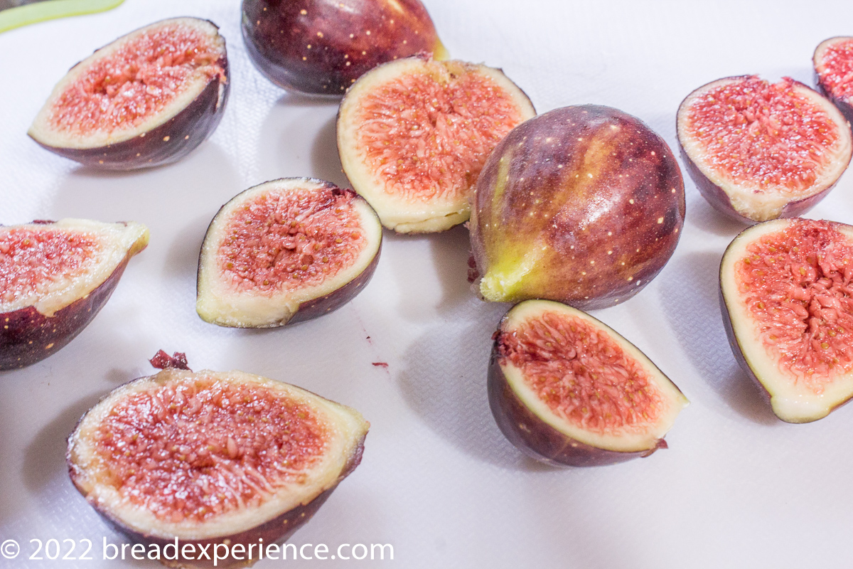 ripe brown turkey figs