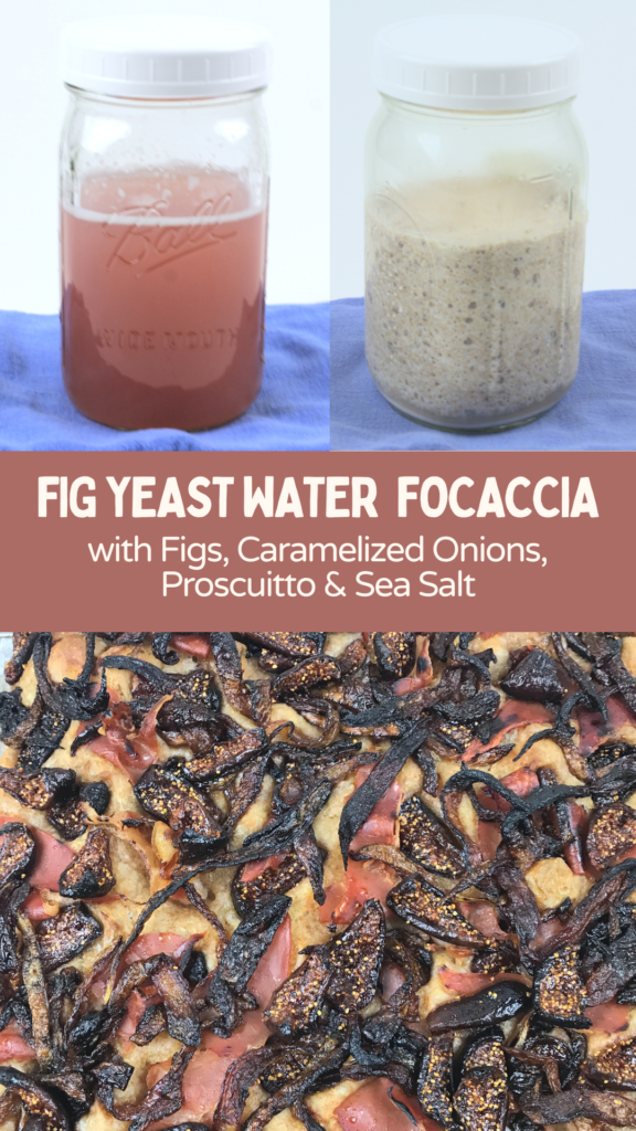 Fig Yeast Water Focaccia 