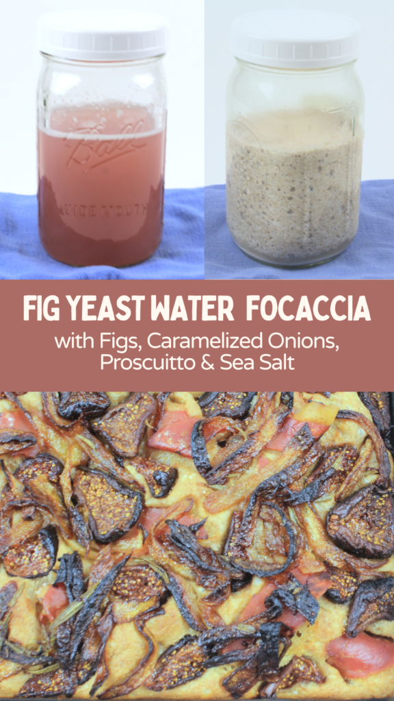 Fig Yeast Water Focaccia