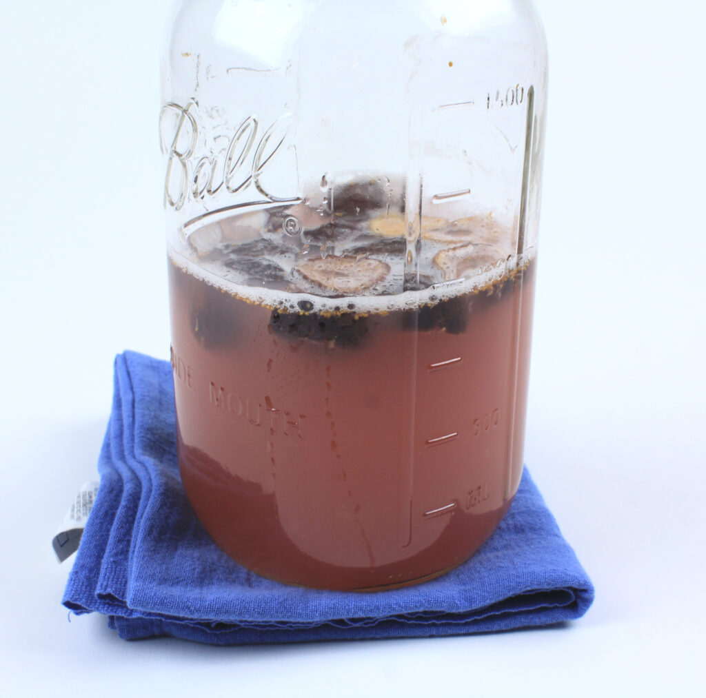 Fermenting Fig Natural Yeast Water in a Jar