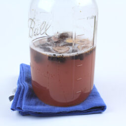 Fermenting Fig Yeast Water in a Jar