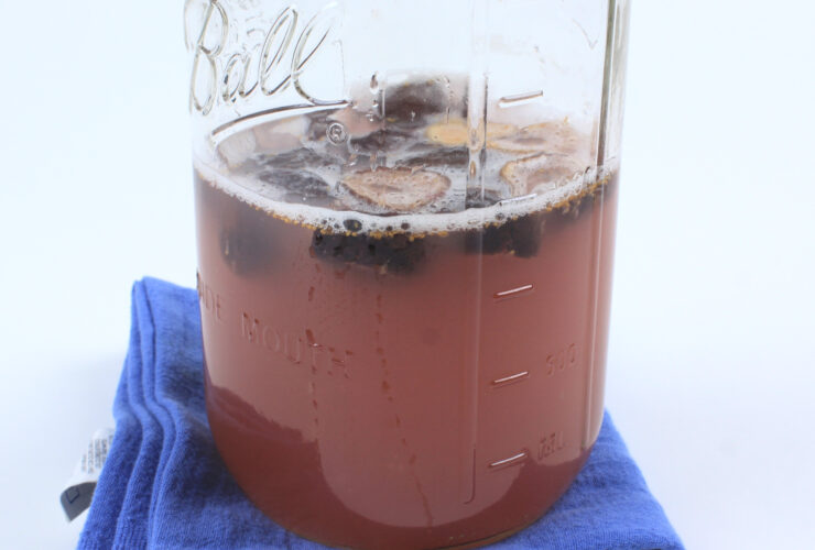 Fermenting Fig Yeast Water in a Jar