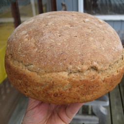 One-Rise Oat Bran and Flax Bread