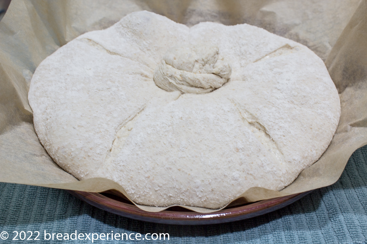 Tie a Knot in this Pan Gallego  Galician Bread - Bread Experience