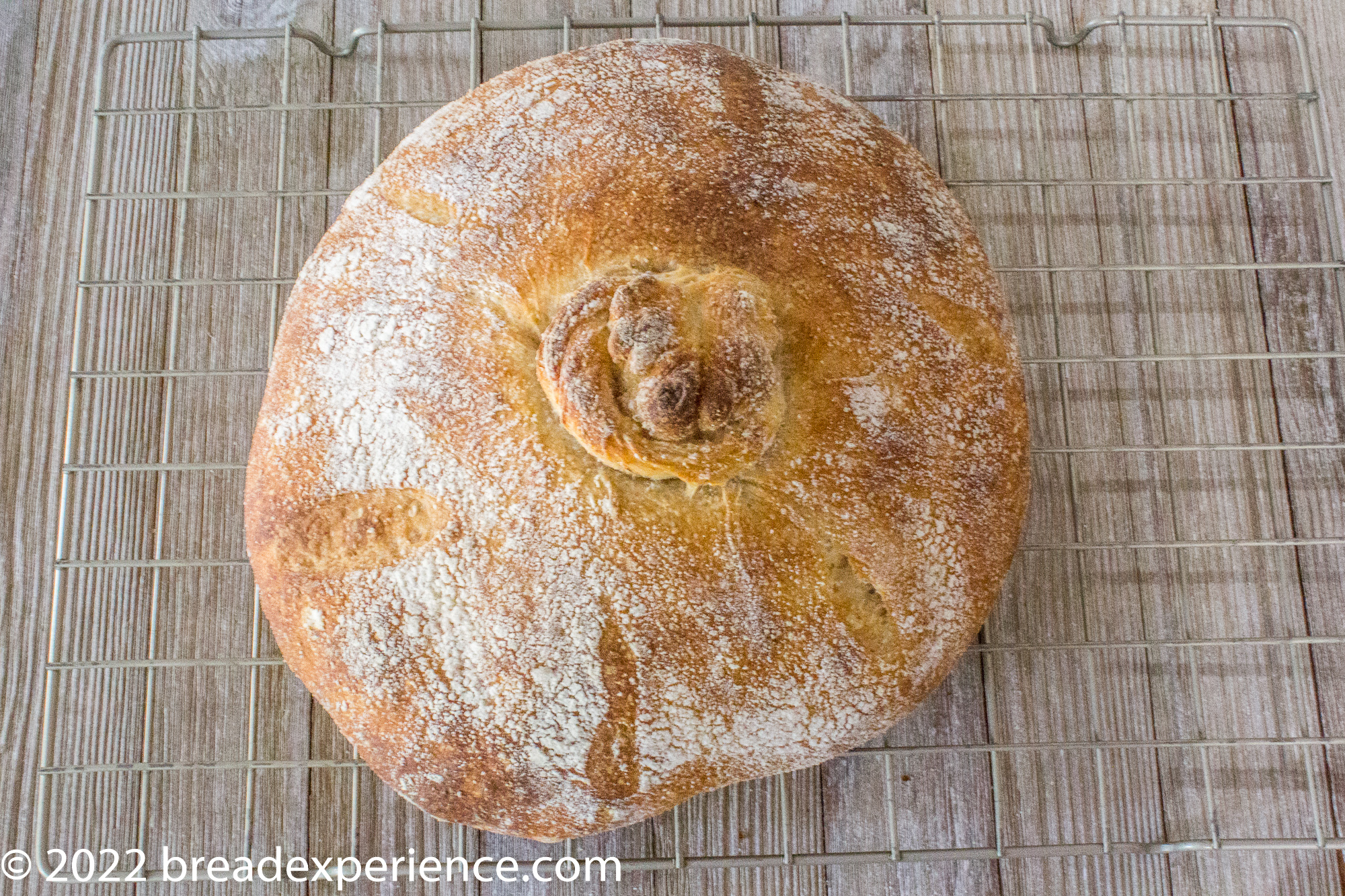 Tie a Knot in this Pan Gallego  Galician Bread - Bread Experience