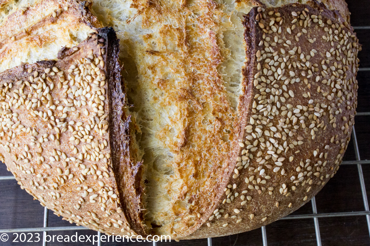 Rustic Sourdough Horiatiko Psomi | Greek Country Village Bread - Bread ...