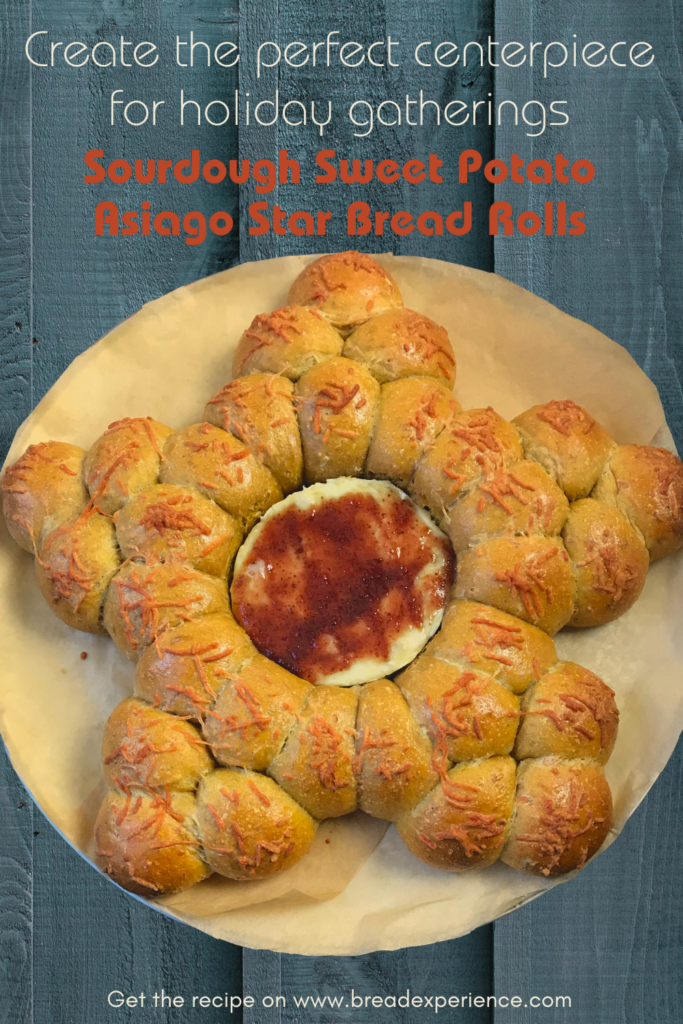 Sourdough-Sweet-Potato-Asiago-Star-Bread-Rolls-Pin