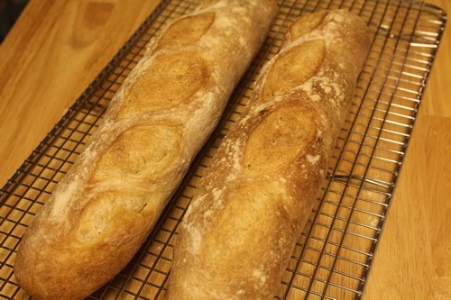 Baguettes cooling on wire rack