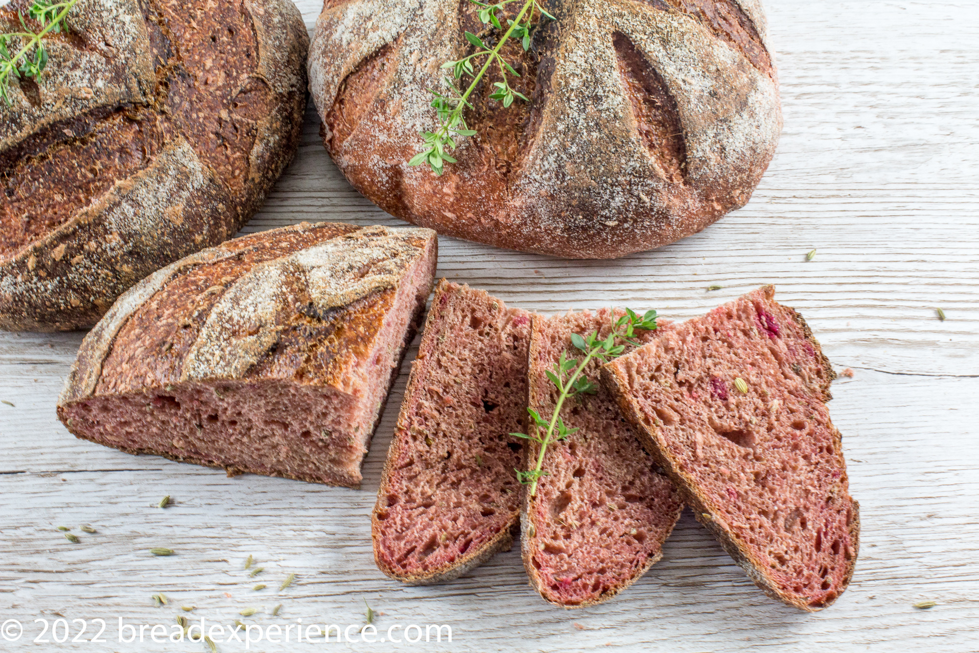 crumb shot of roasted beet bread - 1st bake