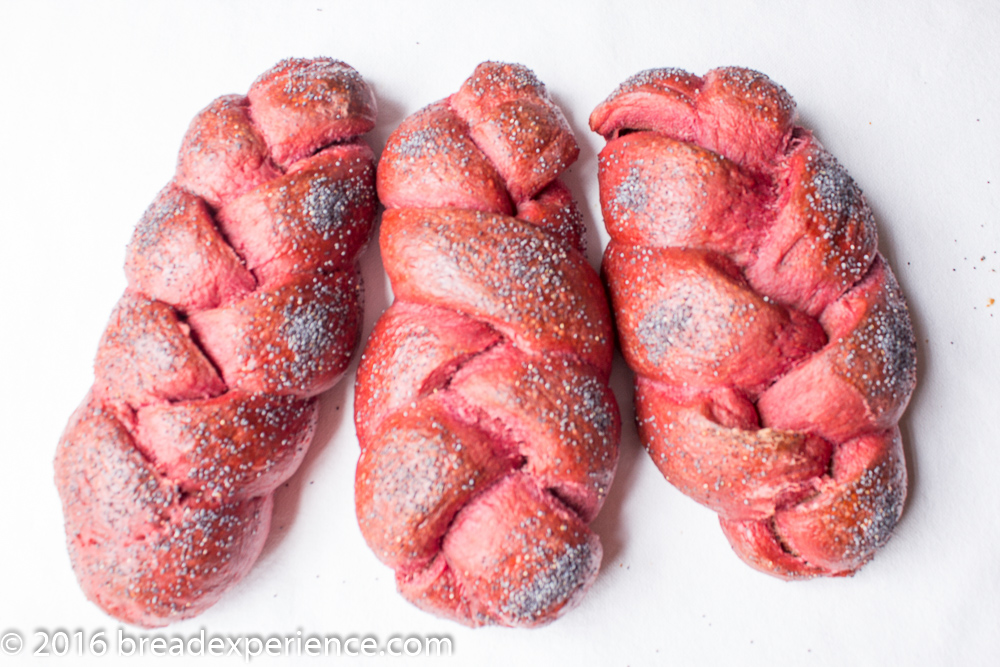 Sourdough Beet Challah