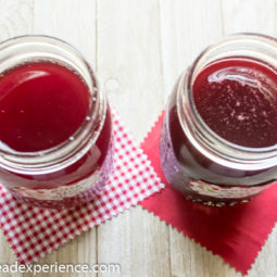 Blueberry and Blackberry Shrub - Food in Jars Mastery Challenge