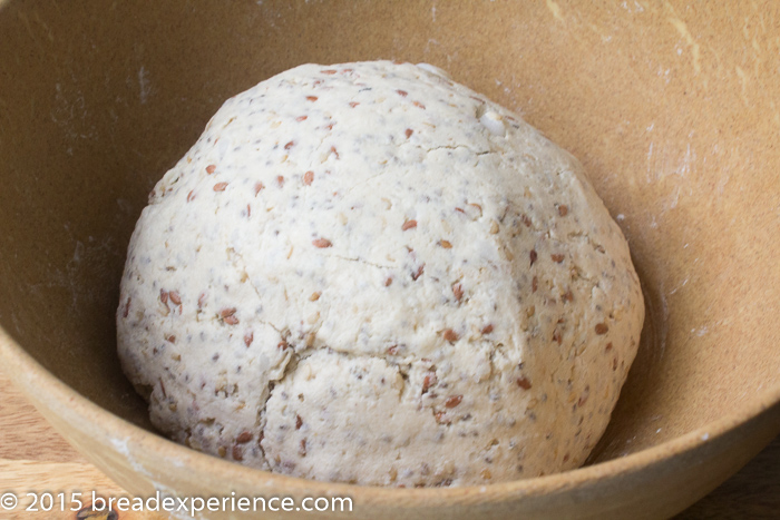 Sourdough Brown Rice Millet Seed Crackers - Bread Experience