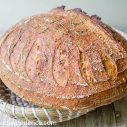 Citrus Pain au Levain with Thyme & Fennel Seeds