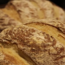 Cornmeal Pumpkin Hearth Loaves