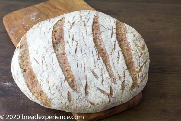 Take the Plunge into Decorative Bread Scoring - Bread Experience