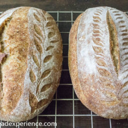 decorative scoring on oval loaves