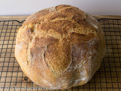 Dutch Oven Emmer Bread