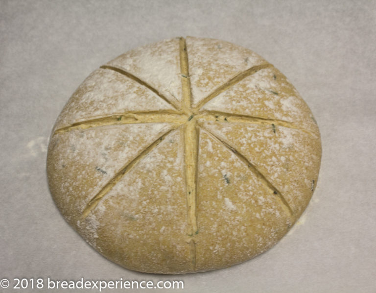 Make this Dutch Oven Italian Rosemary Bread to Share Bread Experience