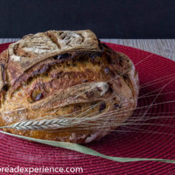 Sourdough Sweet Potato Crunch Bread with Dried Cranberries