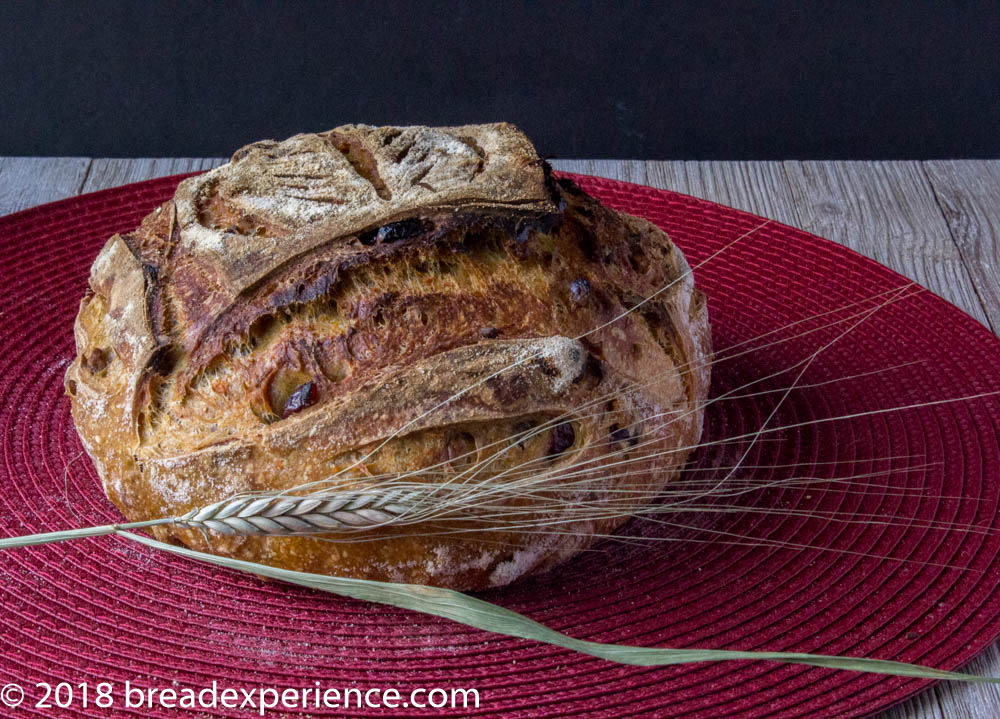 https://www.breadexperience.com/wp-content/uploads/dutch-oven-sourdough-sweet-potato-spelt-emmer-cranberry-loaves-2.jpg
