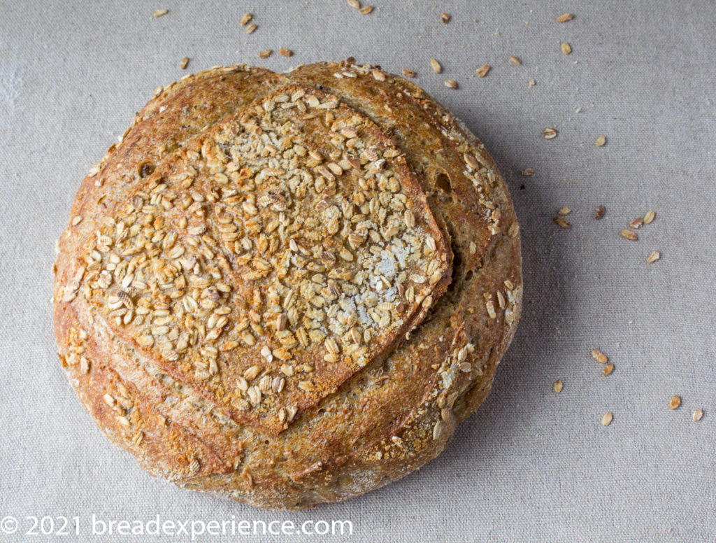 Sourdough Einkorn Toasted Oats Bread - Bread Experience