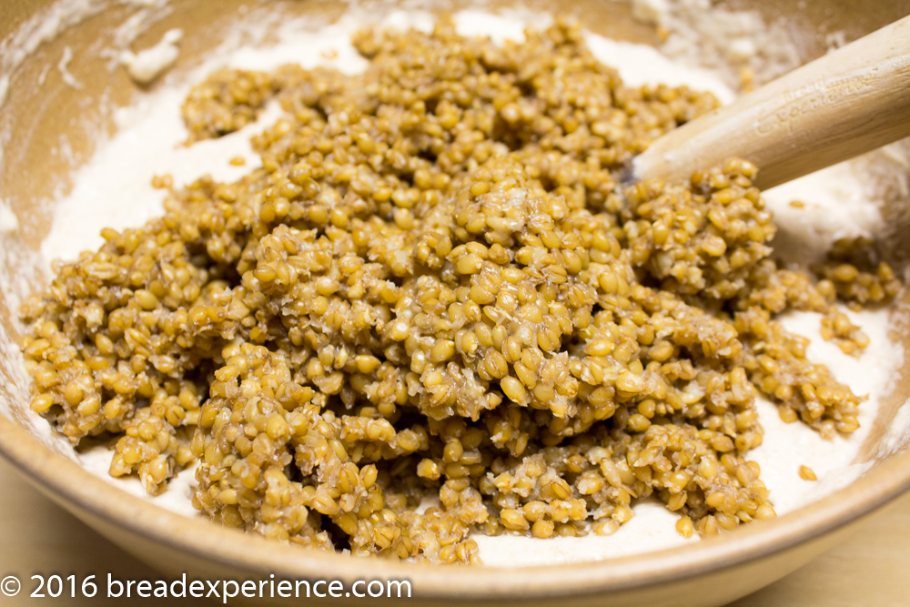 Fermented Sprouted Porridge Bread with Einkorn Spelt - Bread Experience