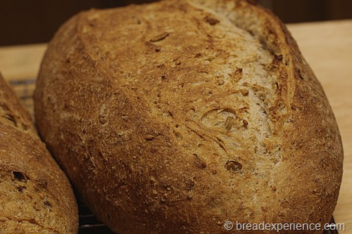 Five Grain Sourdough with Rye Sourdough - Bread Experience