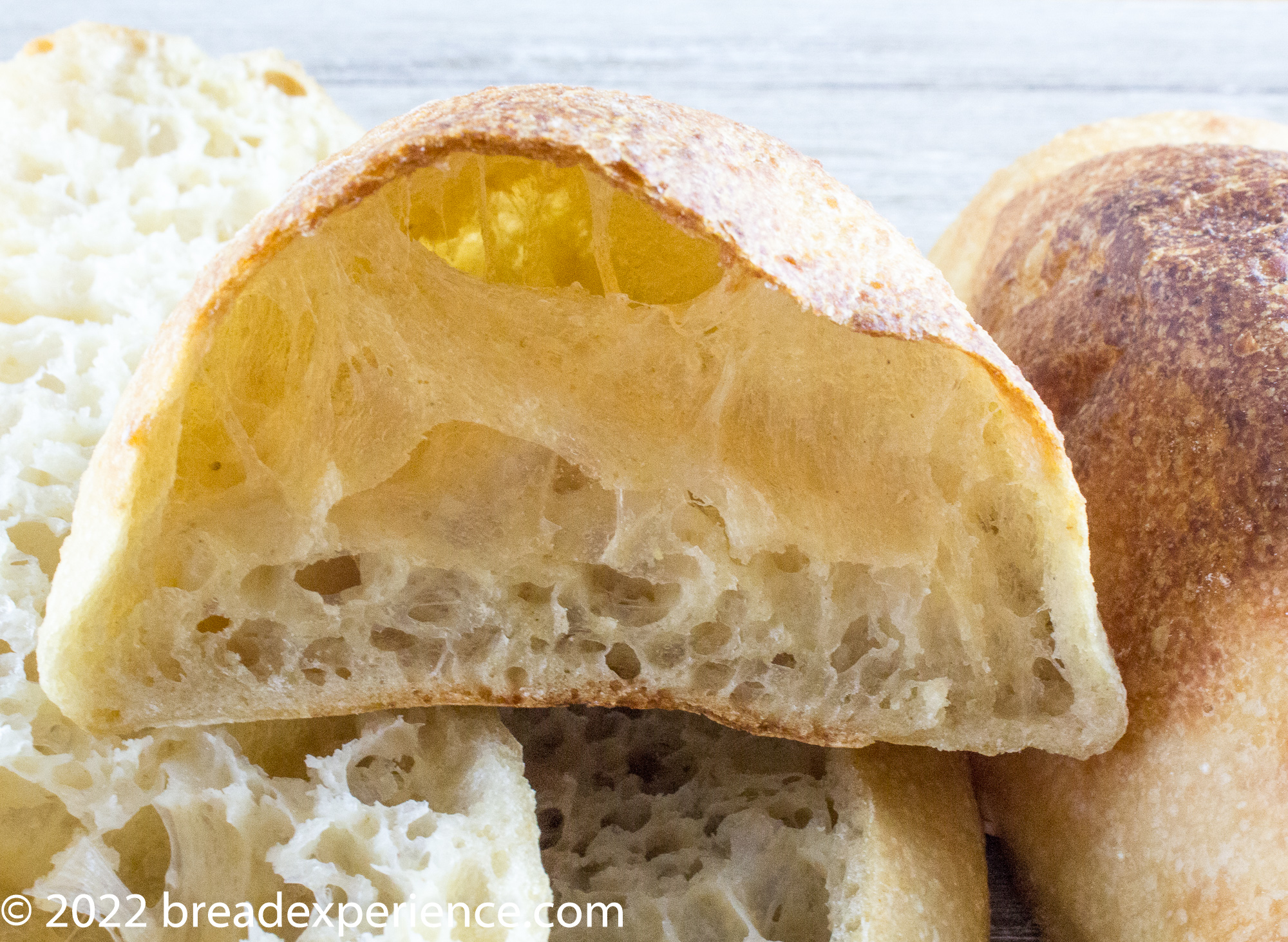 Sourdough Glass Bread (Pan de Cristal) – Breadtopia