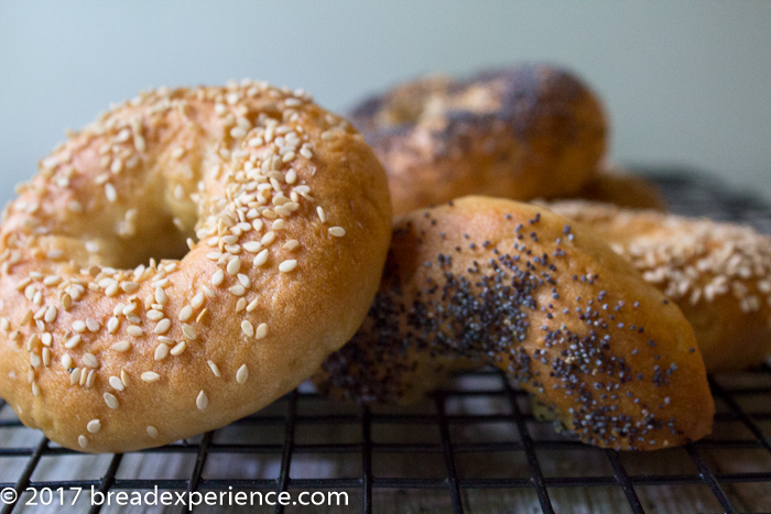 Gluten Free Kefir Water Bagels with Butterfly Gluten Free Flour Blend