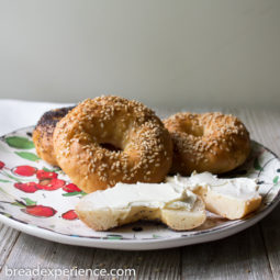 Gluten Free Kefir Water Bagels