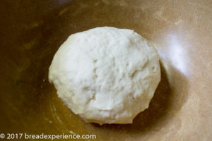 Gluten Free Bagel Dough