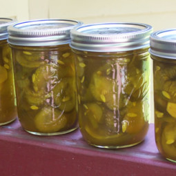 Hamburger Dill Pickles