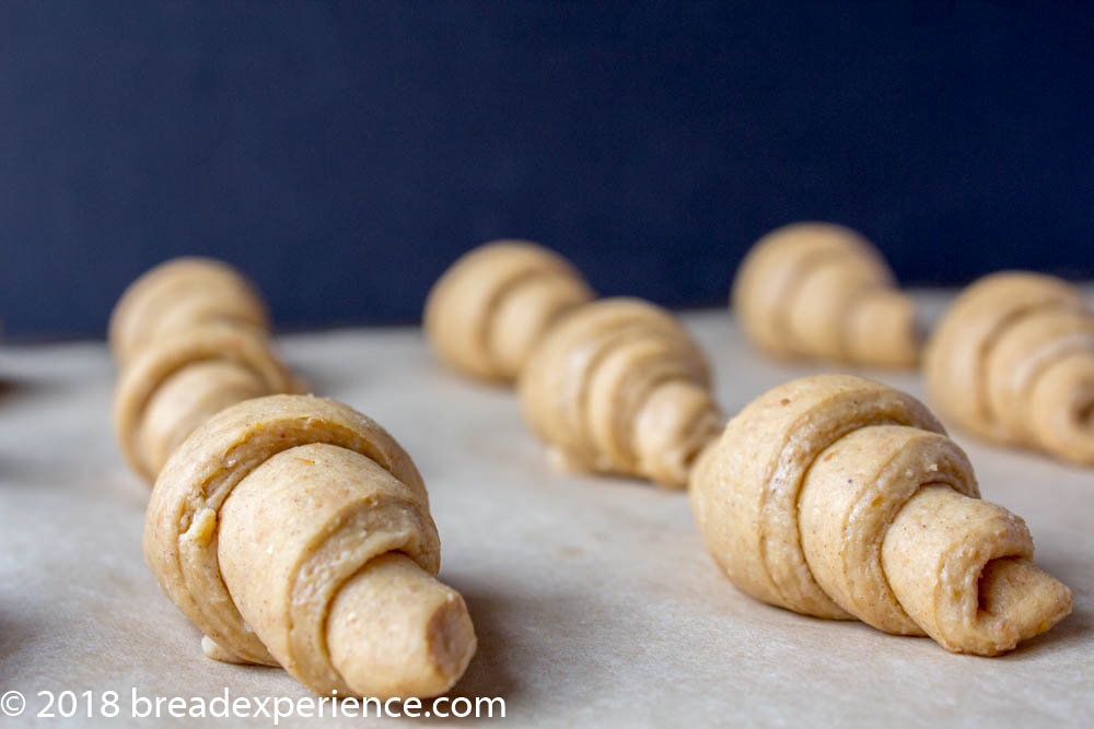 Shaped Heritage Grain Sourdough Pumpkin Crescent Roll Dough