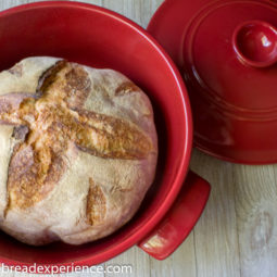 Easy Dutch Oven Pain de Campagne