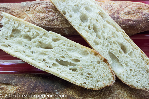 Crumb of Poolish Baguettes with 25% Sprouted Wheat Flour