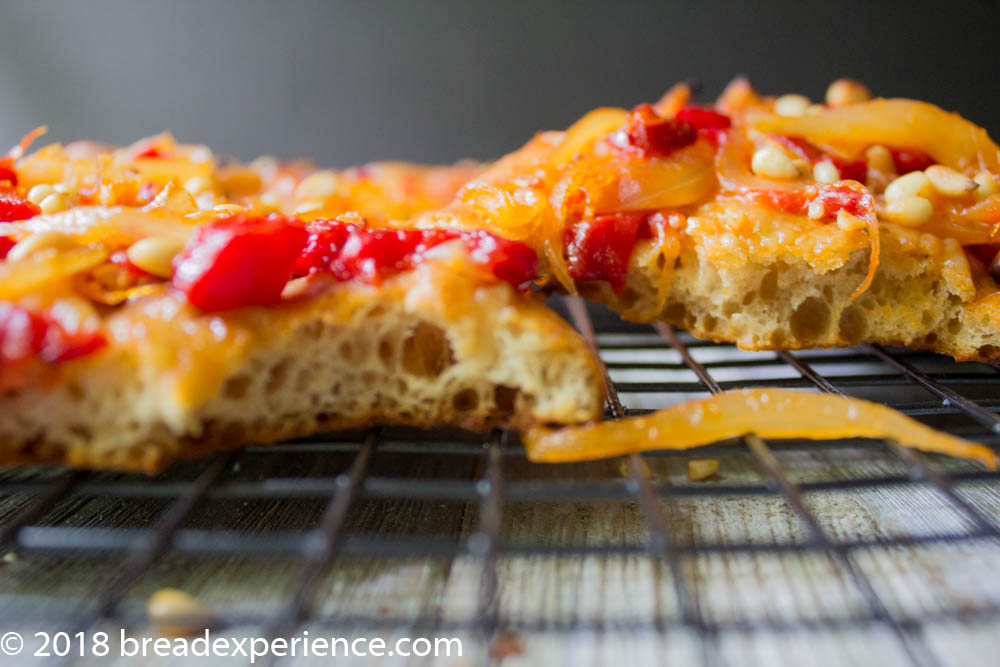 Red Pepper Coques fermented with kefir water