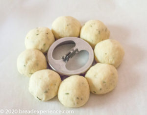 yeast rolls formed around biscuit cutter