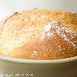 Weeknight Semolina Bread in a Cloche