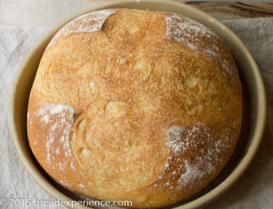Weeknight Semolina Bread baked in a cloche - Bread Experience, Recipe