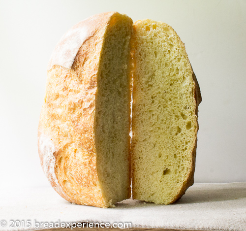 Bread-Baking Cloche