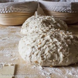 Senfbrot German Mustard Bread