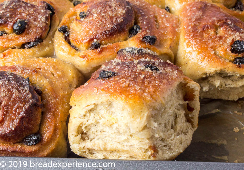 Sourdough KAMUT Chelsea Buns 