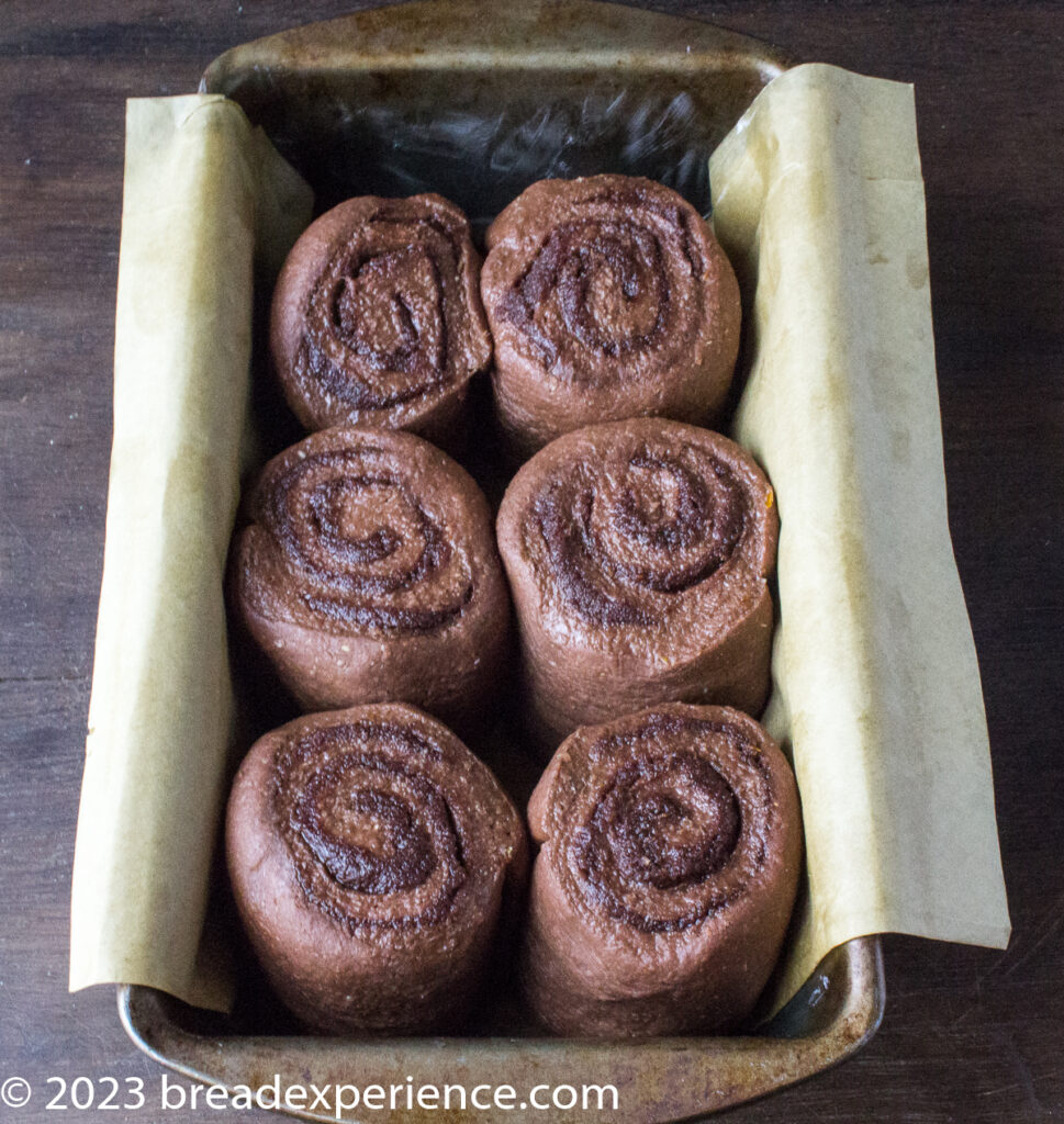 chocolate orange sweet rolls in pan