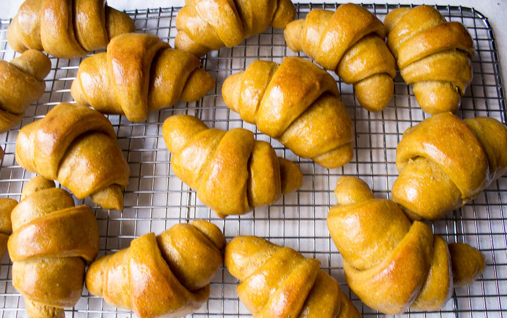 Sourdough Einkorn Pumpkin Crescent Rolls brushed with butter