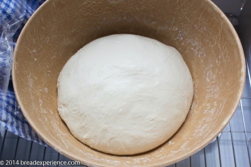 Sourdough Garlic Knots make a delicious treat