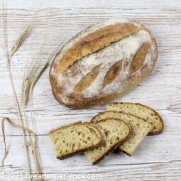 Sourdough Rosemary Olive Oil Loaves with Clarks Cream