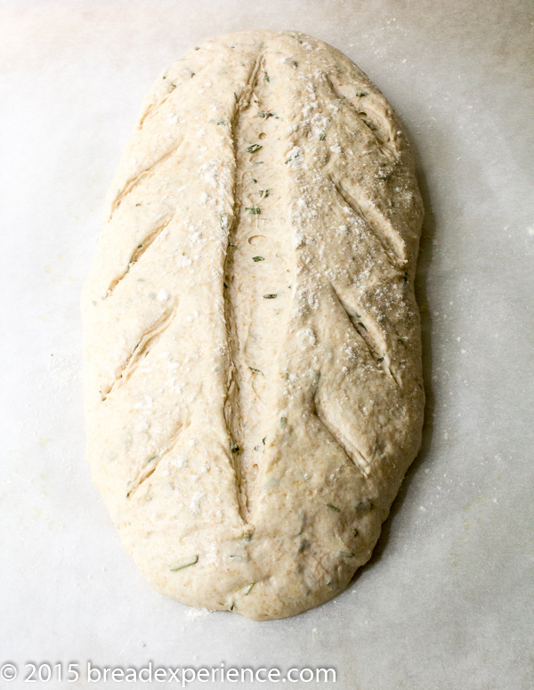 Sourdough Rosemary Spelt Dough Scored