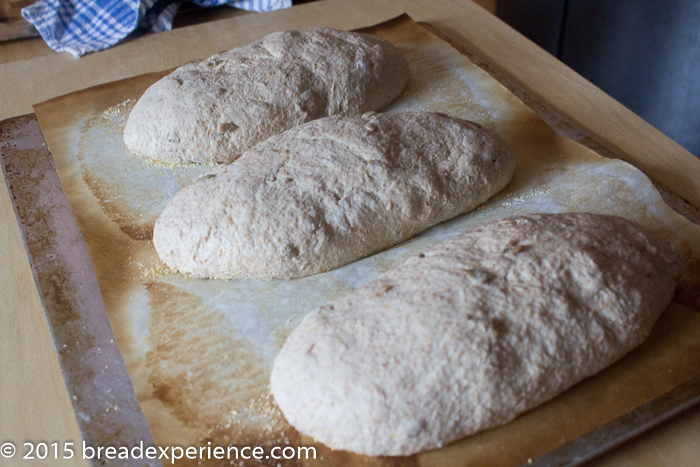 Sourdough Sprouted Wheat Loaves - Bread Experience