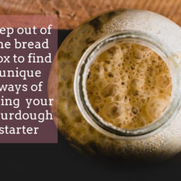 creative uses for sourdough starter