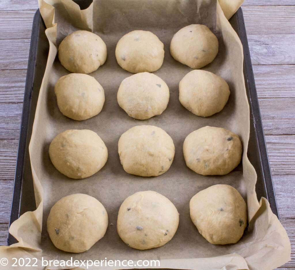 Sweet Potato Sourdough Milk Bread Rolls proofing in pan